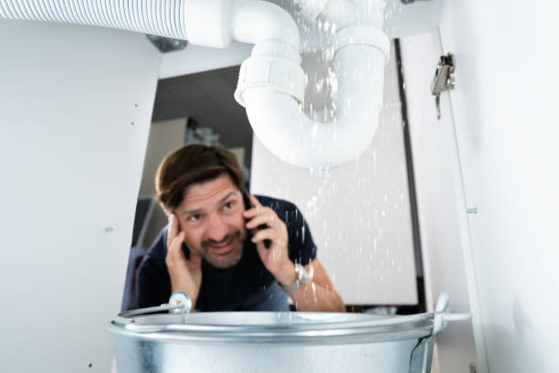 Best Plumbing Repair Near Me  in Pleasant Hill, MS